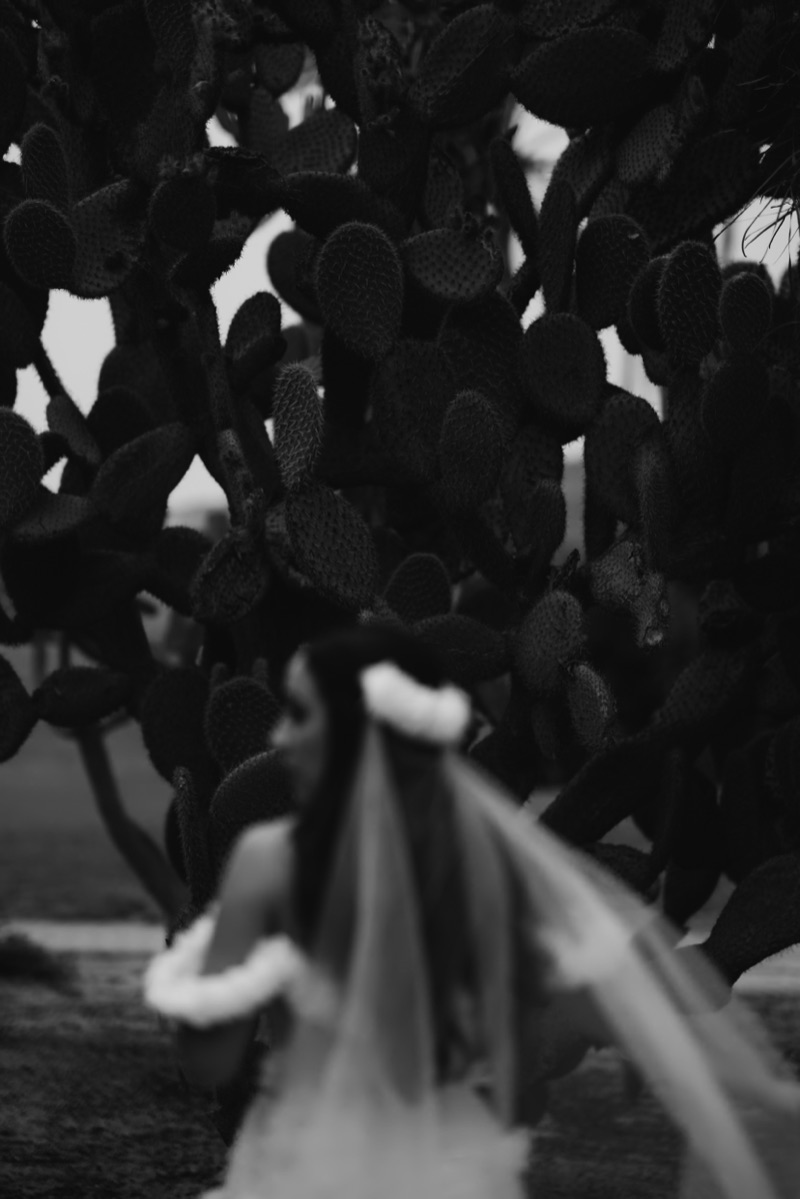 Editorial B&W